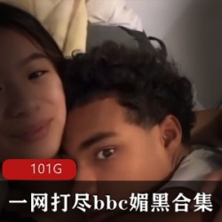 一网打尽（bbc媚黑)+经典资源合集