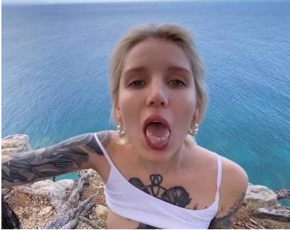 Redfox超级玩家的P站视频合集