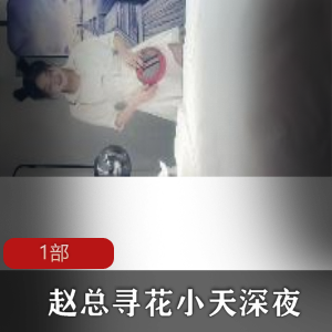 寻花小天深夜肉肉身材美妇1部