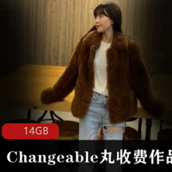 Changeable丸高端定制丝袜美腿视频合集