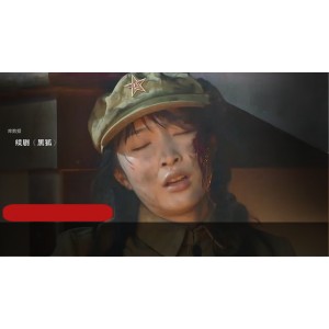 抗日连续剧《黑狐》典藏版