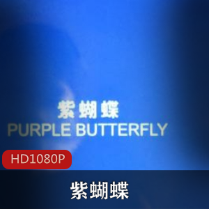 电影《紫蝴蝶》：娄烨经典珍藏推荐