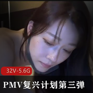 PMV复兴计划第三弹合集,名场面精彩剪辑,32V-5.6G视频内容丰富