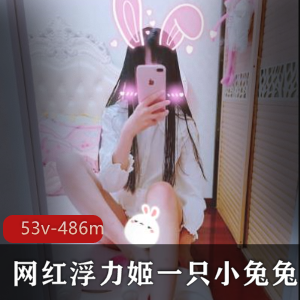 浮力姬一只小兔兔作品合集，53个视频，486mb，百度云下载