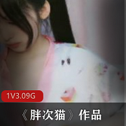 胖次猫直播资源：互动身材妖娆，1GB录屏，3.09GB总大小