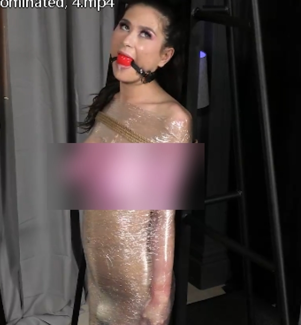 但标题可以为：“jasminewilde视频合集[9个视频，1.7GB]”