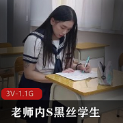 《黑丝学生妻子水电工老师3V合集，总大小1.1G》