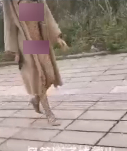 魅力，同时也能够学习到如何在风筝断线时进行修复。让我们一起学习，一起进步，享受户外运动的乐趣吧！