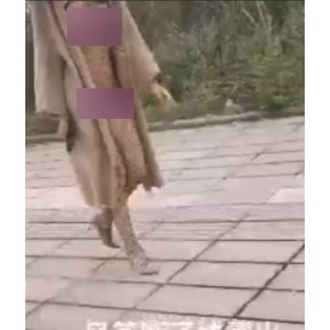 魅力，同时也能够学习到如何在风筝断线时进行修复。让我们一起学习，一起进步，享受户外运动的乐趣吧！