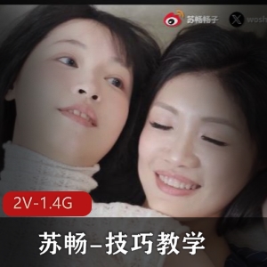 苏畅技巧教学 [2V1.4G]