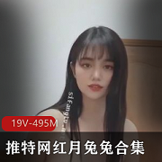 推特网红月兔兔高能合集19V495M，舞蹈颜值精华