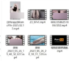 momoyih黑丝肉腿私拍81部41.4G珍藏典藏