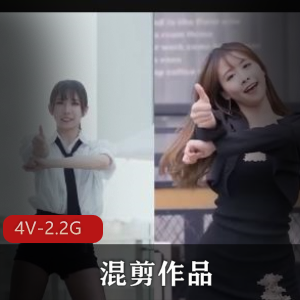 推特岛国卡点狂魔4V2.2G抖N舞PMV合集