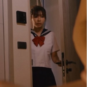 苏畅52部丰满视频合集22.2G推特新作