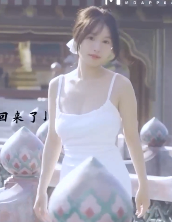 苏畅52部丰满视频合集22.2G推特新作