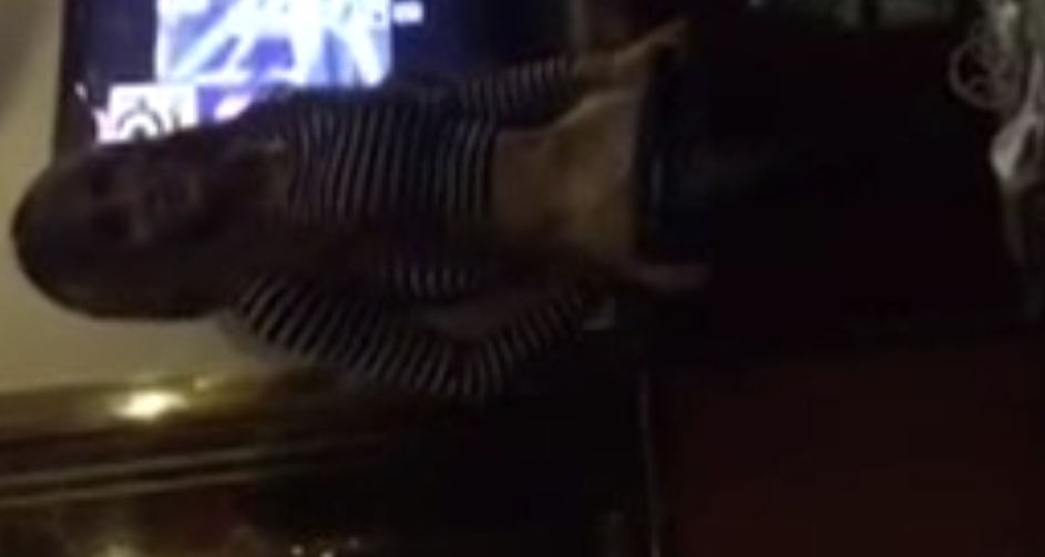 OnlyFansTS伪娘精选私拍合集85部111GB媚态撩人